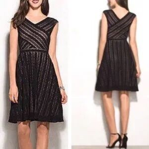 Dress Barn Black and tan Striped Midi Dress